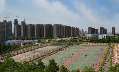 活动