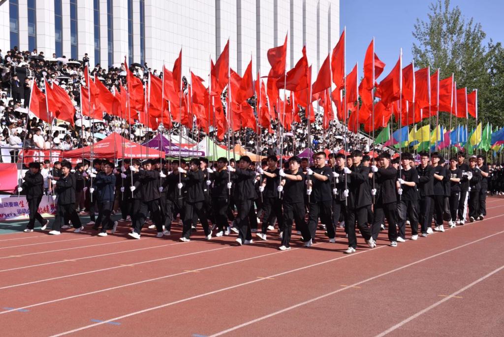 必赢3003登录手机版下载