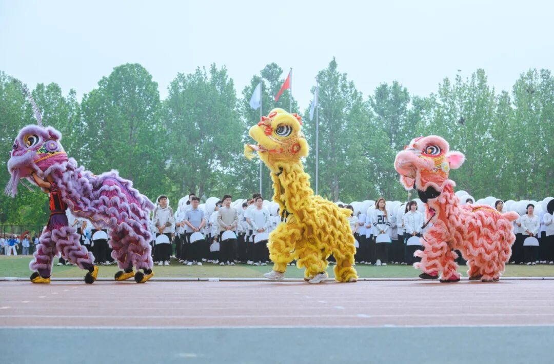 共赴这场青春盛会!